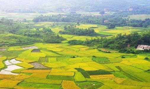 土壤养分检测仪