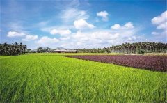 土壤养分测定仪测试土壤中全氮含量