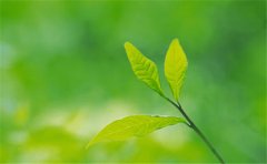 多参数土壤养分检测仪检测项目更齐全