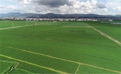 土壤氮磷钾养分测试仪让施肥具有靶向性
