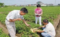 肥料检测仪提供高效科学的肥料养分检测方法