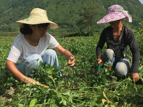 肥料养分含量检测仪