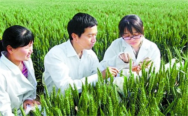 多合一测土仪