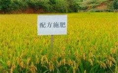 便携式高智能测土仪质量怎么样？
