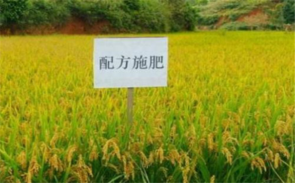 便携式高智能测土仪