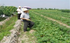 土壤团粒分析仪设备配置构成是怎样的？