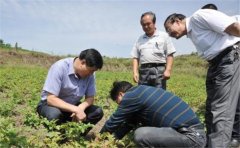 便携式土壤PH酸碱智能检测仪使用方法