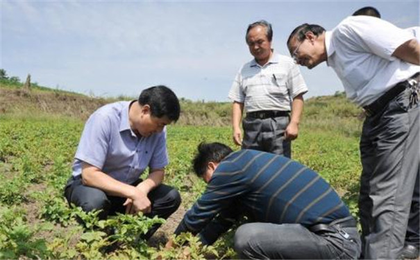 便携式土壤PH酸碱智能检测仪使用方法