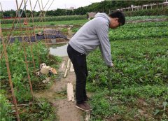 测土配方施肥仪在农业种植中有什么用？