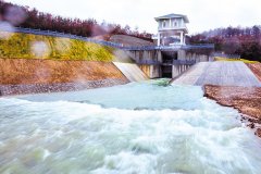 精确灌溉土壤水分快速测量仪