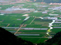 水肥一体化，实现水肥精确配比