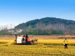 土壤肥料快速测试仪改善盲目施肥