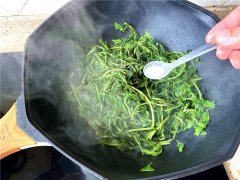 枸杞菜有药用价值，种一次可用好多年