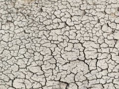 土壤紧实度仪，可避免水分流失